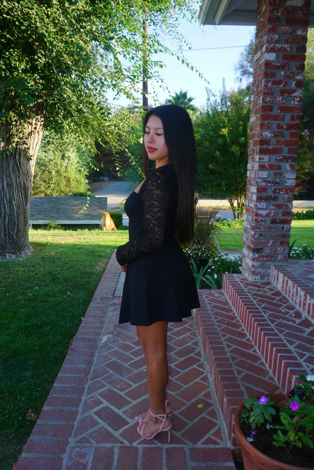 Sasha Lace Dress (Black)