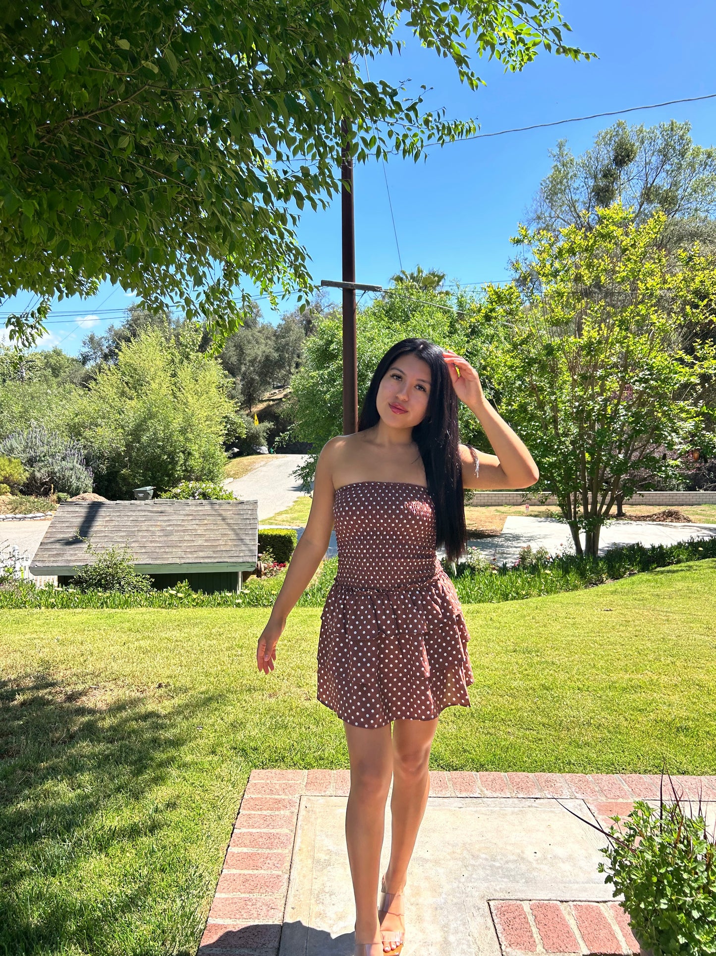 Café Mocha Ruffle Dress