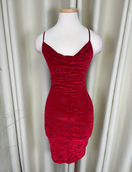 Red Velvet Dress