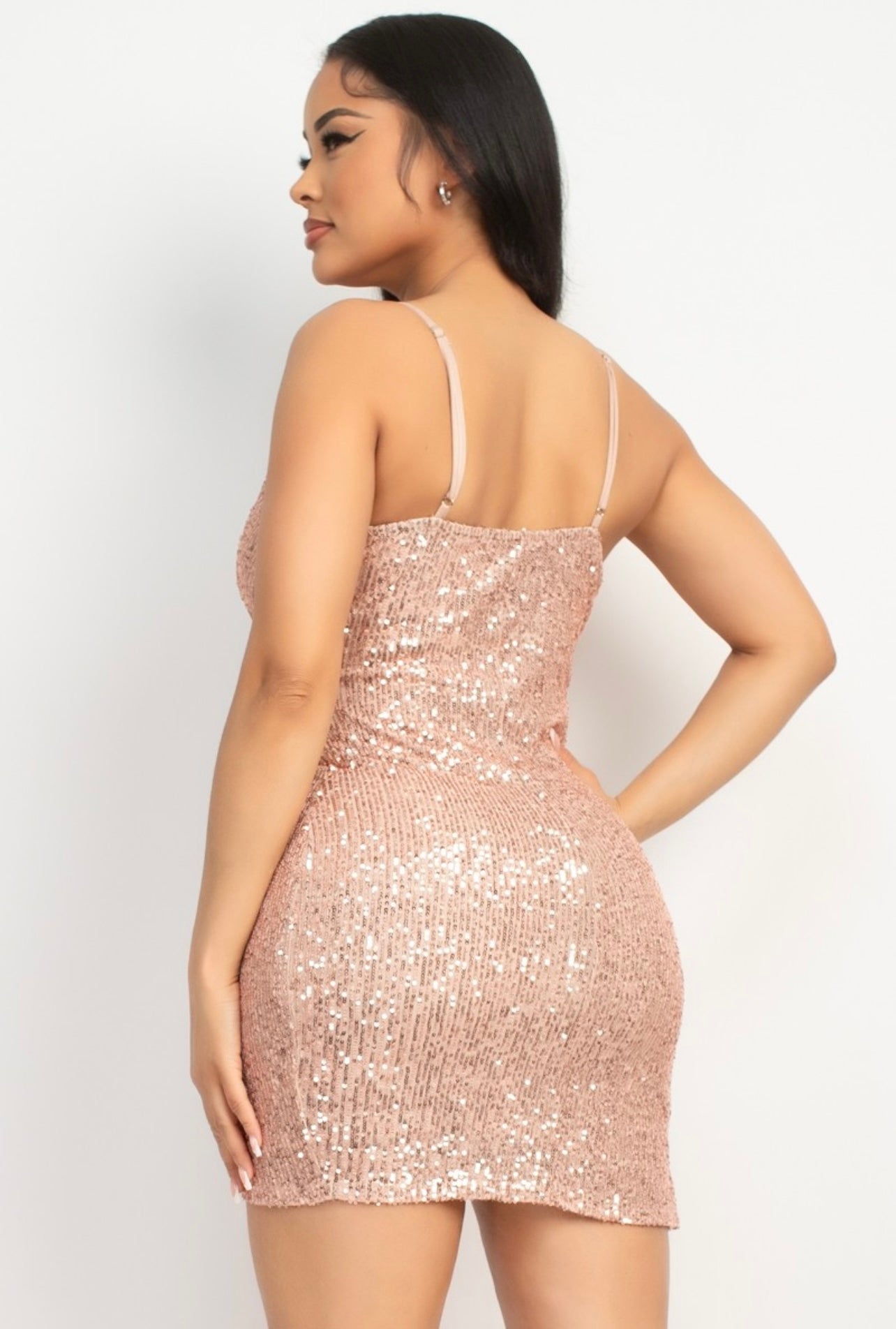 Stacy Sequin Dress (Champagne)