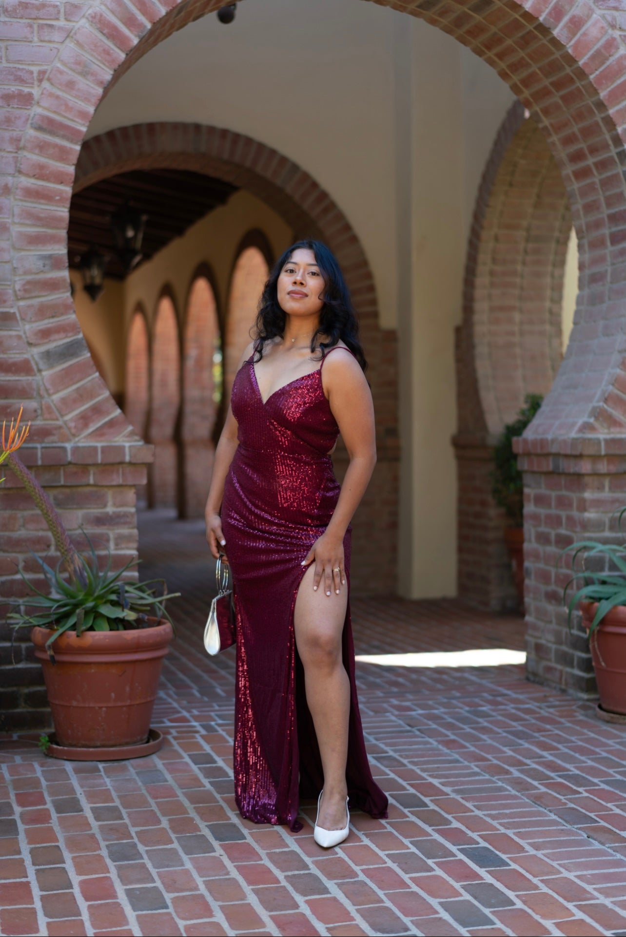 Scarlet Sparkle Dress