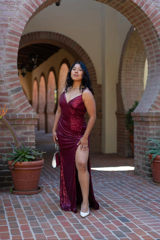 Scarlet Sparkle Dress