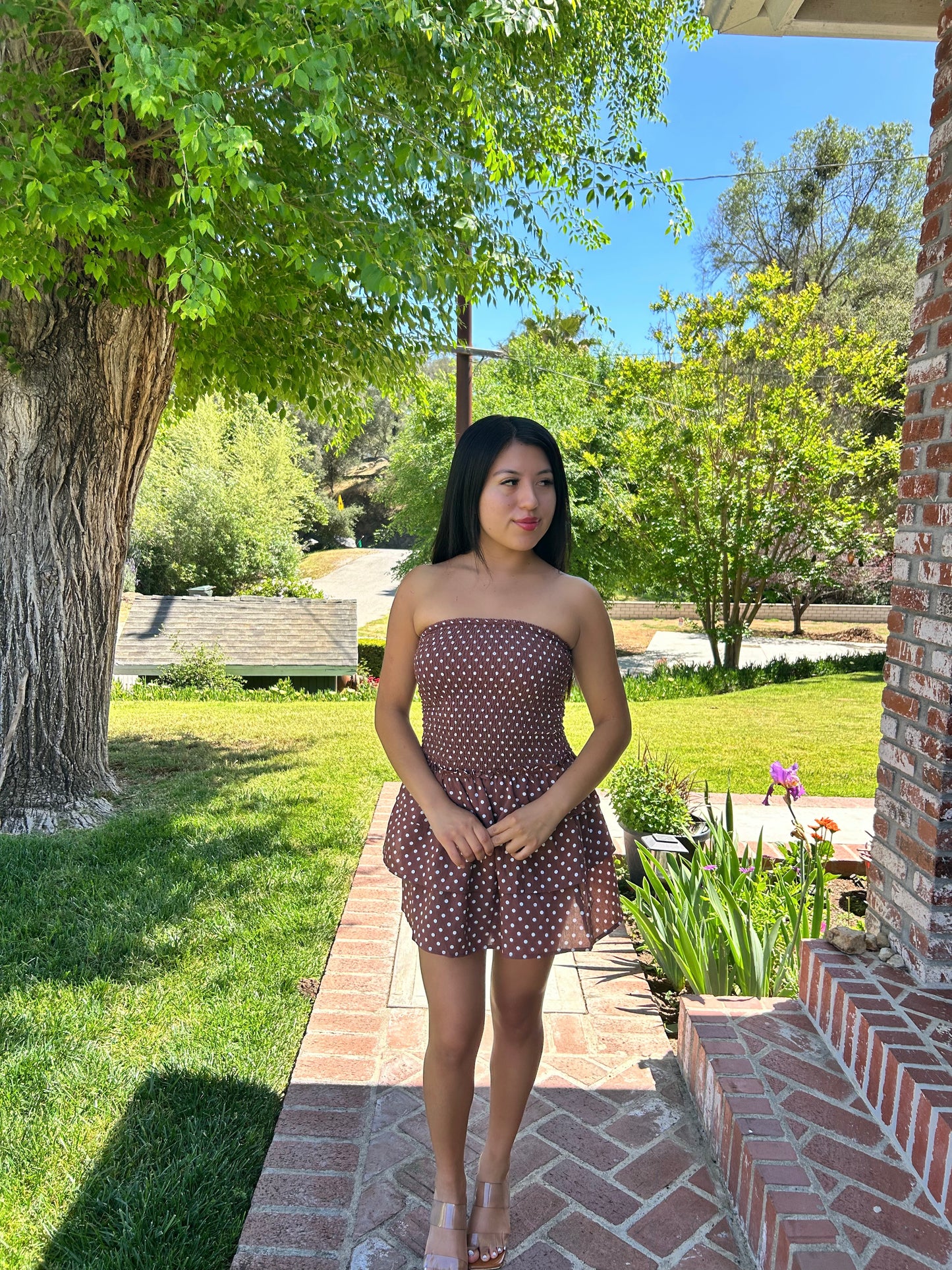 Café Mocha Ruffle Dress